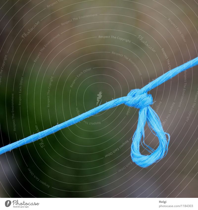 flirt with... String Knot Hang Authentic Exceptional Simple Uniqueness Long Blue Gray Change Diagonal Colour photo Multicoloured Exterior shot Close-up Detail