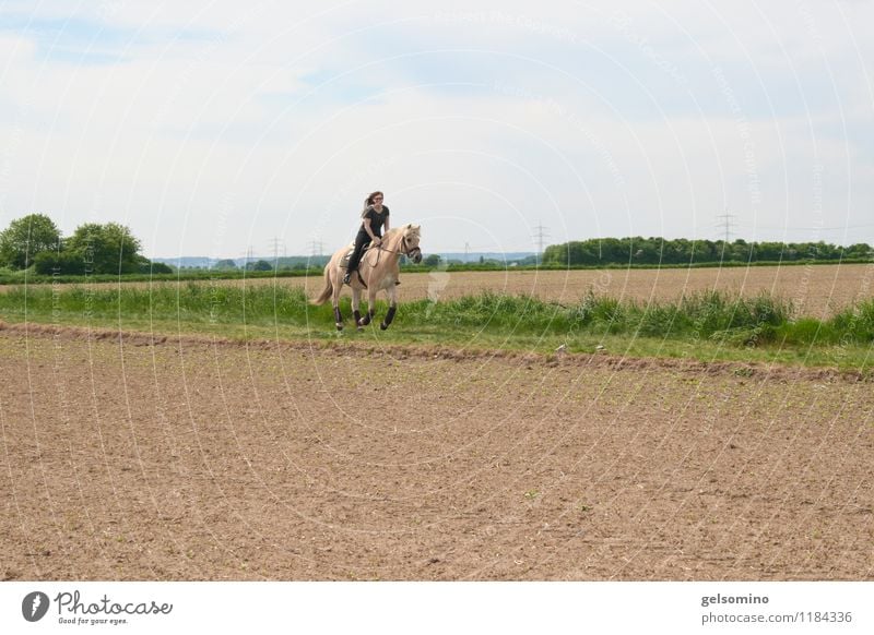 hop hop hop gallop Ride Equestrian sports Young woman Youth (Young adults) 1 Human being Beautiful weather Field Horse Animal Running Movement Sports