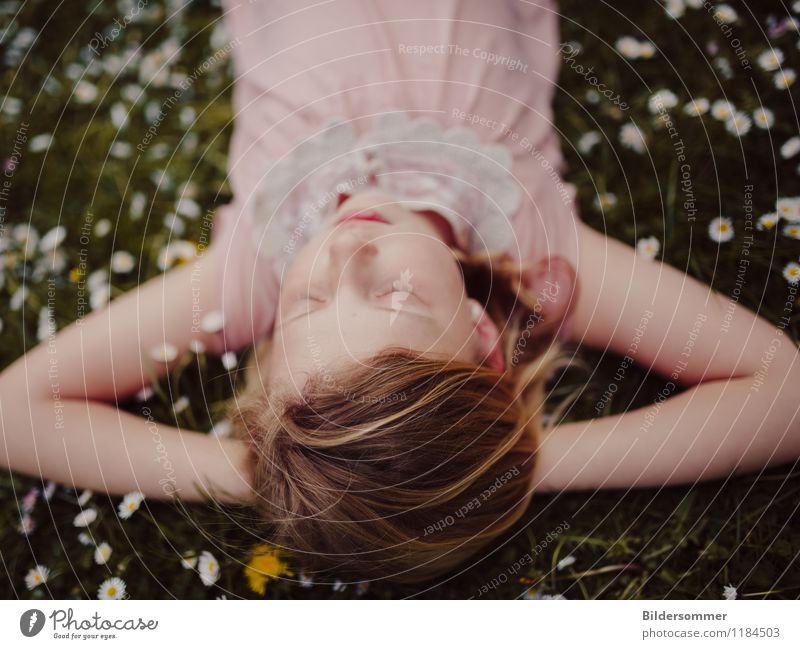 Mia & Daisies II Contentment Relaxation Calm Summer Summer vacation Human being Feminine Child Girl Infancy 1 3 - 8 years 8 - 13 years Nature Flower Grass