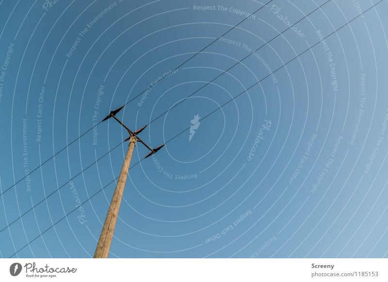 Energy source #1 Technology Energy industry Electricity pylon Tall Blue Brown Town Wire Heaven Cloudless sky Colour photo Exterior shot Deserted