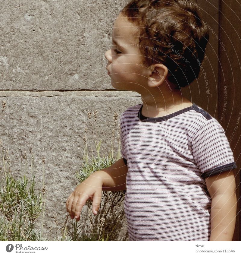 Restrained curiosity Child T-shirt Wall (barrier) Plant Summer Curiosity Stomach Behavior Skeptical Concentrate Boy (child) Looking Shadow