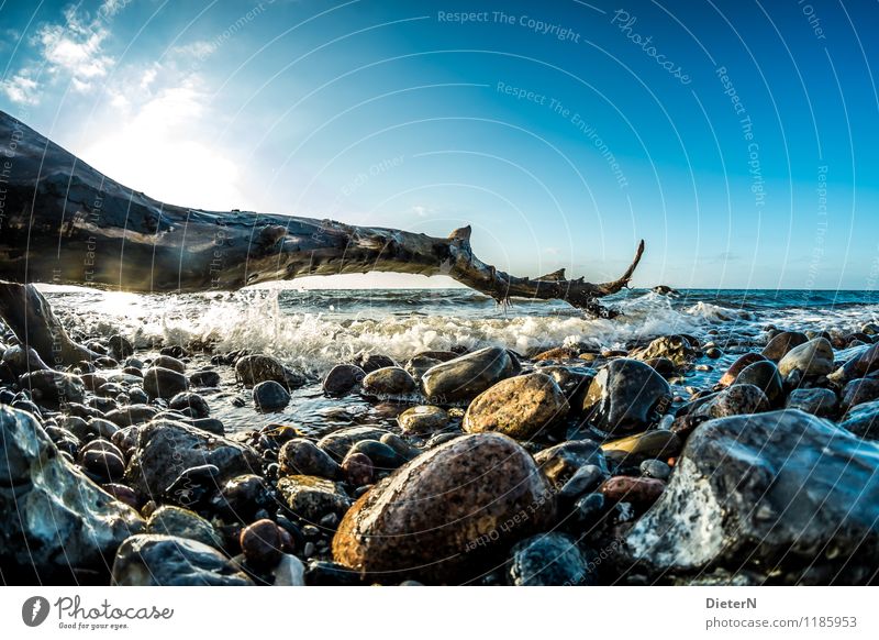 ripple Landscape Water Sky Clouds Horizon Sun Sunrise Sunset Beautiful weather Coast Baltic Sea Soft Blue Brown Black White Stone Tree trunk Driftwood Waves Log