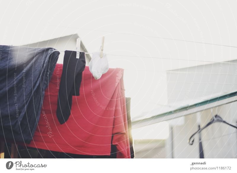 unadulterated Clothing T-shirt Laundry Washing Clothesline Clean Red Purity Bright Household Colour photo Deserted Day Shallow depth of field