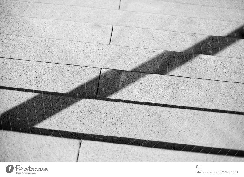 countermovement Beautiful weather Stairs Lanes & trails Line Downward Upward Stone Sharp-edged Growth Target Black & white photo Exterior shot Abstract Deserted