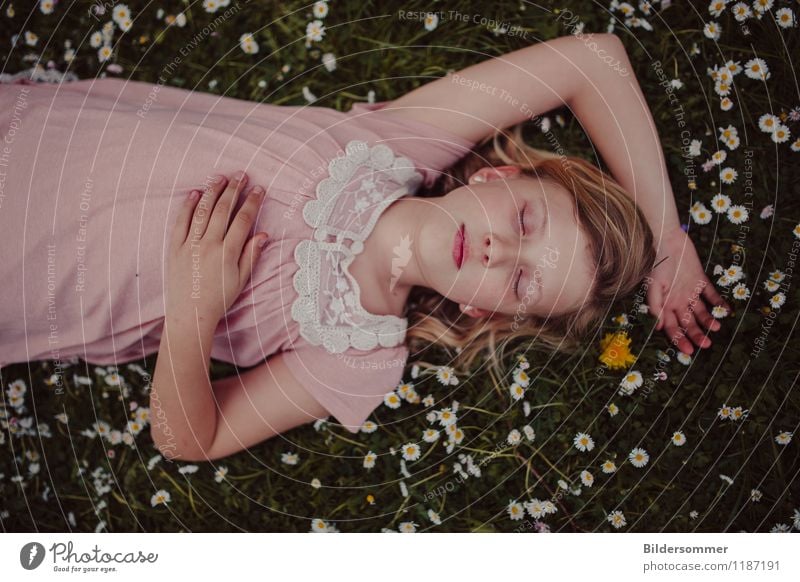 Mia & Daisies Human being Feminine Child Girl 1 8 - 13 years Infancy Nature Flower Grass Garden Park Meadow Dress Blonde Relaxation To enjoy Sleep Dream Green