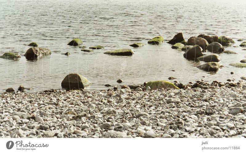 stones Rügen Ocean Green Baltic Sea Stone Water