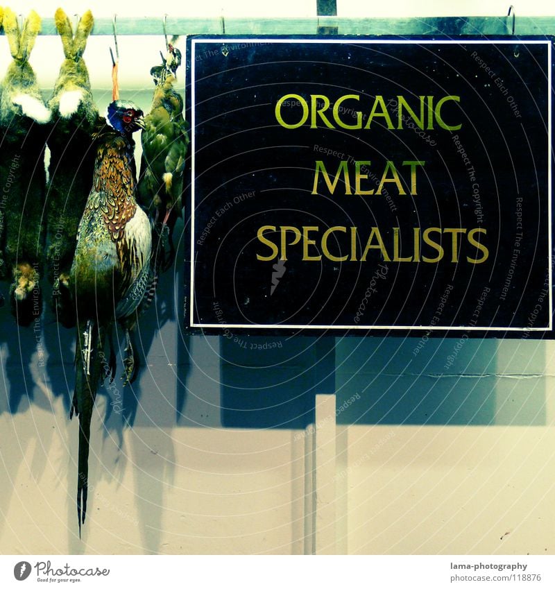 ORGANIC MEAT SPECIALISTS Poster Butcher Pheasant Hare & Rabbit & Bunny Slaughterhouse Hang Farmer's market Specialities Meat Sausage Pork tenderloin Steak Hen