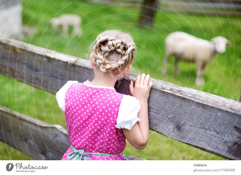 Heidi :) Human being Feminine Child Girl Infancy 1 3 - 8 years Environment Nature Landscape Spring Summer Beautiful weather Meadow Animal Farm animal Sheep