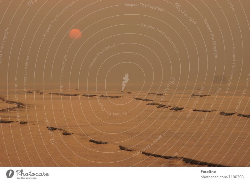 north sea Environment Nature Landscape Elements Water Sun Sunrise Sunset Waves Coast North Sea Ocean Free Fresh Infinity Maritime Wet Natural Watercraft