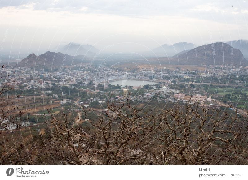 Lake Pushkar from above Relaxation Calm Meditation Adventure Far-off places Mountain Nature Landscape Water Fog Hill Lakeside Desert India Asia Town Populated