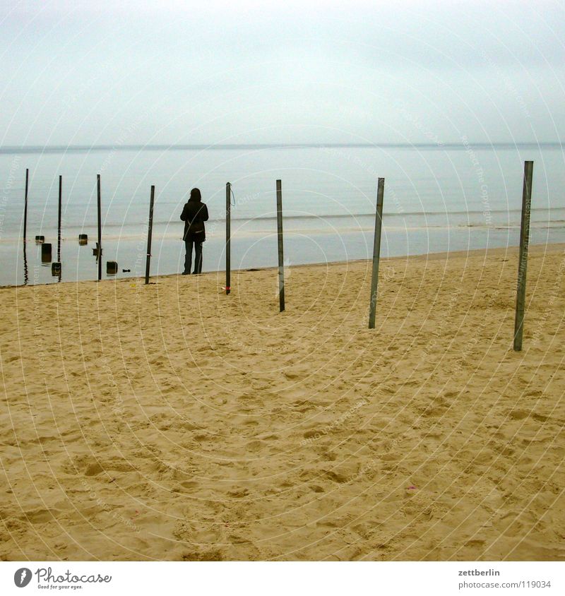 frontier Ocean Beach Coast Horizon Far-off places Man Woman Loneliness Longing Fog Sandbank Sea water Tidal barrier Break water Border Europe Human being