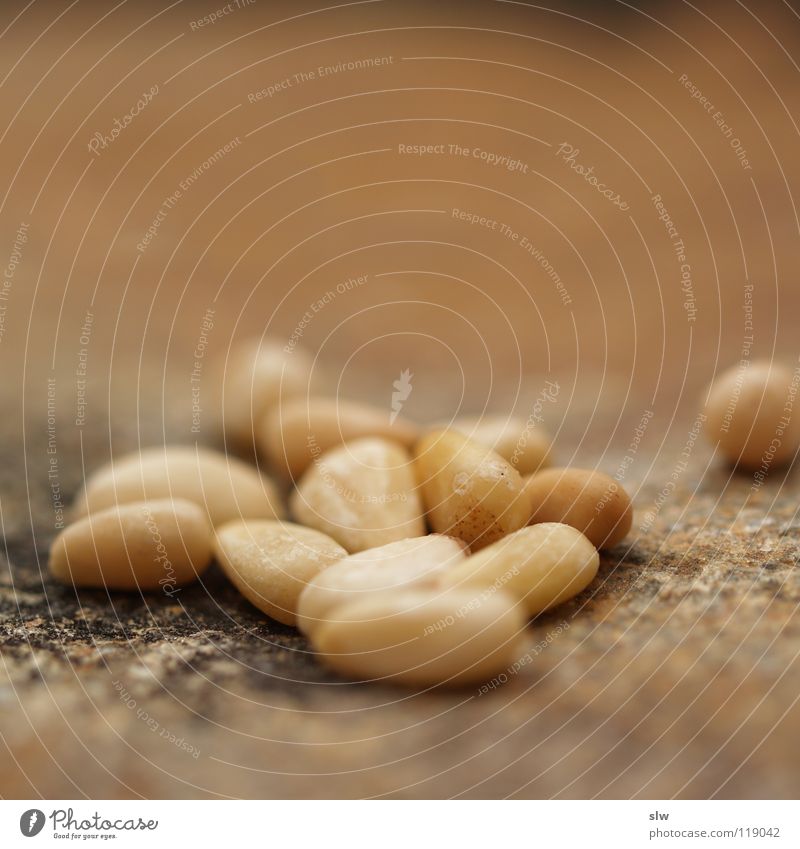 pine nuts Kernels & Pits & Stones Mediterranean Nutrition Stone pine Korean seed scales Pine nut Shallow depth of field Macro (Extreme close-up) Glittering