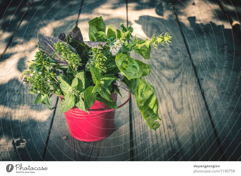 Fresh herbs in garden Vegetable Herbs and spices Garden Gardening Nature Plant Leaf Natural Green White food Mint background Ingredients healthy wooden herbal