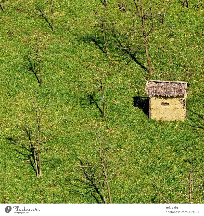 shelter..hut Fruittree meadow Field Tree Storm Apple tree Plantation Meadow Small Protection Hut fruit grower Weather Pear tree Tool Shed Barn from the tower