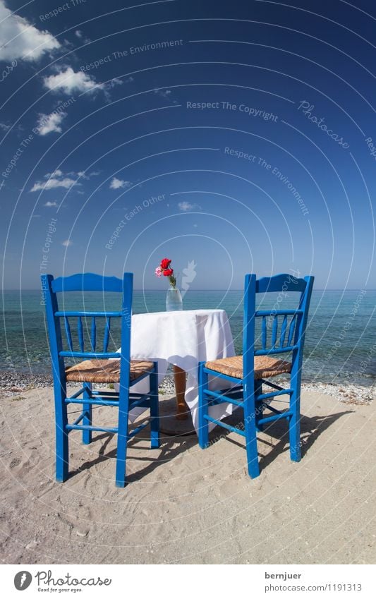 carnation revolution Lifestyle Style Vacation & Travel Tourism Summer Summer vacation Sun Beach Ocean Waves Furniture Chair Table Blossoming Living or residing