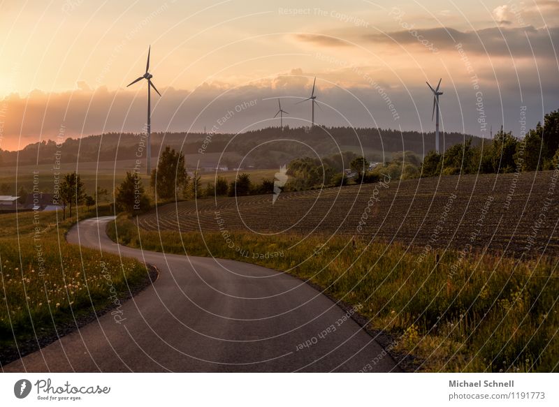 landscape curves Wind energy plant Environment Nature Sunrise Sunset Hill Sauerland Transport Street Curve Sustainability Far-off places Colour photo