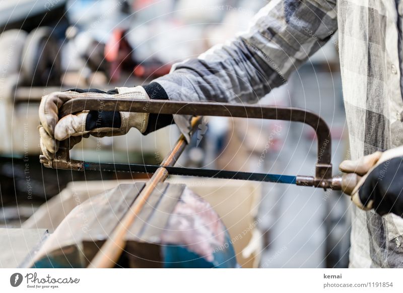 saws Work and employment Craftsperson Workplace Workshop Craft (trade) Human being Adults Life Arm Hand 1 Shirt Checkered Gloves Occupational health and safety