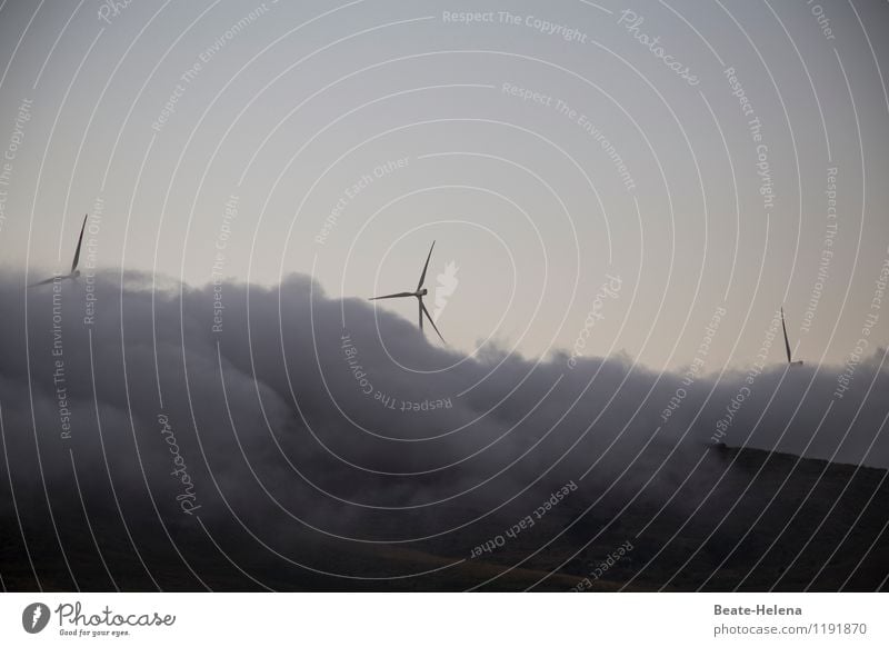 There's plenty of foam paddles everywhere. Vacation & Travel Technology Wind energy plant Landscape Sky Clouds Summer Fog Field Hill Italy Sicily Movement