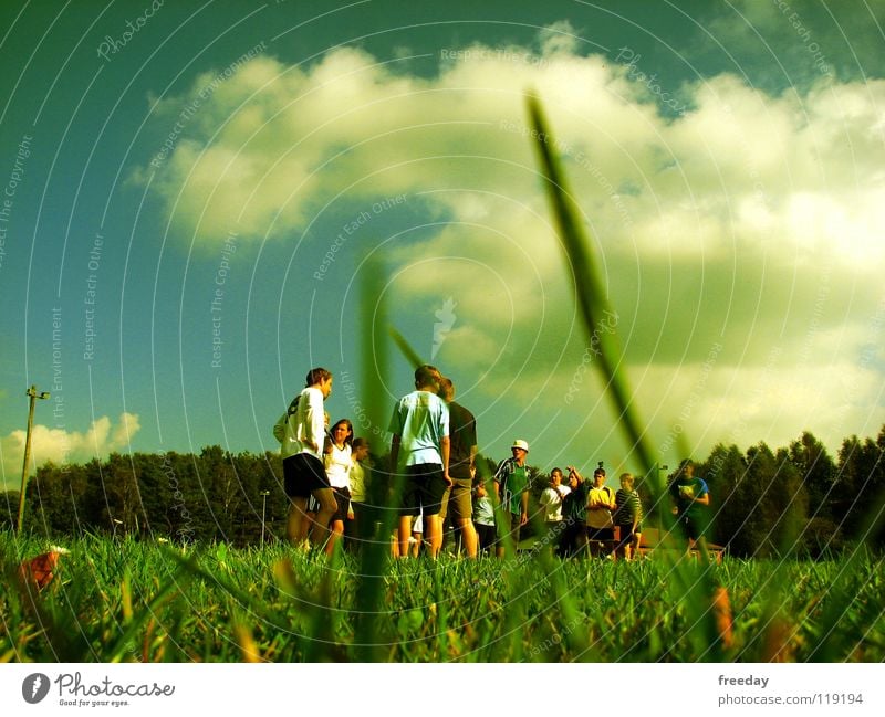 ::: Frog perspective ::: Summer Clouds Green Background picture Playing White Dark Youth (Young adults) Assembly Small Blade of grass Depth of field Animal