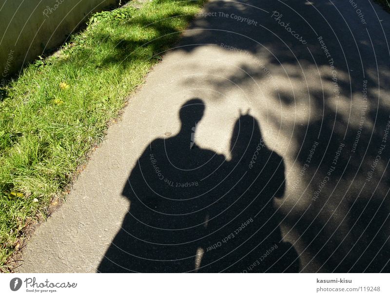 I love you... Infatuation Woman Man Multicoloured Green Meadow Joy Summer Shadow couple Happy Street Germany Exterior shot Silhouette