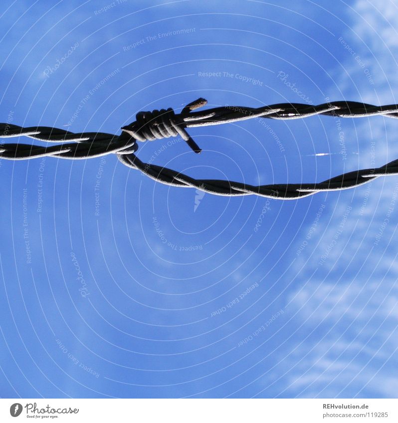 when the sky was still blue ... Barbed wire Fence Border Barrier Clouds Air Meadow Limitation Summer Tear open Livestock Dangerous Safety Sky Blue Pasture