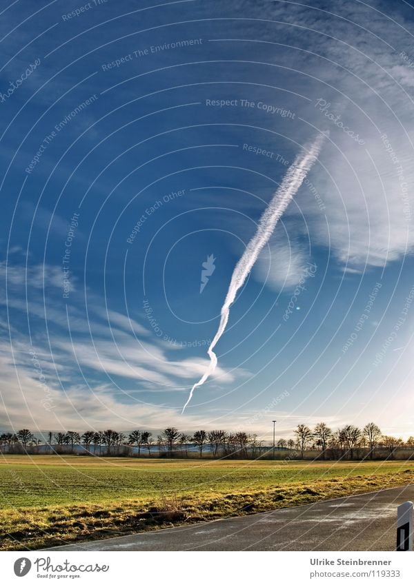 Vapor trails over sunny landscape Colour photo Exterior shot Deserted Copy Space top Day Sunlight schuler Pilot Aviation Landscape Air Sky Clouds Wind tree