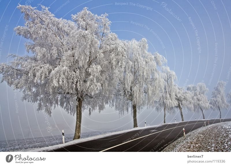 Hoarfrost in the right-hand bend Winter Snowscape Winter mood Hoar frost White Cold Roadside Street boundary Freeway Curve Sky Blue