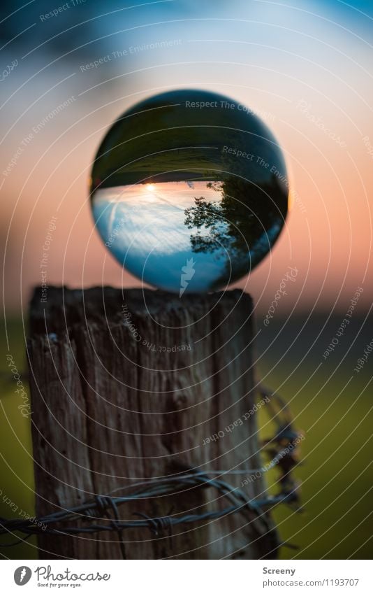 Worlds #4 Nature Landscape Plant Sky Sun Sunrise Sunset Spring Summer Beautiful weather Meadow Field Glass ball Crystal ball Wood Round Serene Calm Idyll