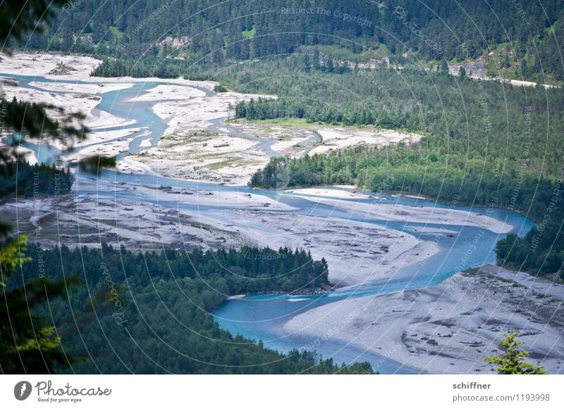 Do lechsd di nida! Environment Nature Landscape Plant Tree Forest Alps River bank Bay Blue Green Riverbed River Lech Flow Nature reserve