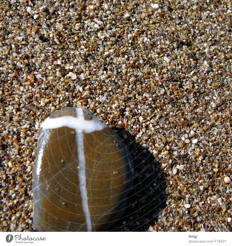 Pebble with a cross Colour photo Subdued colour Exterior shot Detail Deserted Copy Space top Day Sunlight Bird's-eye view Vacation & Travel Summer Beach Ocean