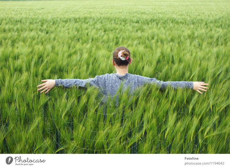 freedom Human being Feminine Girl Young woman Youth (Young adults) Head Hair and hairstyles Arm Hand Fingers 1 Environment Nature Landscape Plant