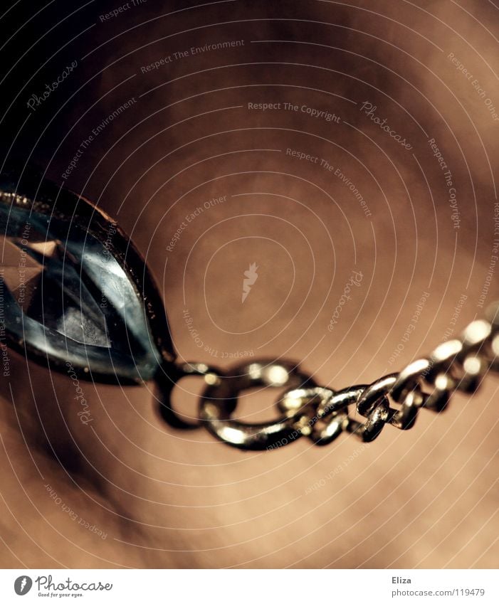 Firmly connected Jewellery Diamond Minerals Precious Expensive Glamor Glittering Legacy Bracelet Chic Woman Brown Black-billed magpie Beautiful Precious stone