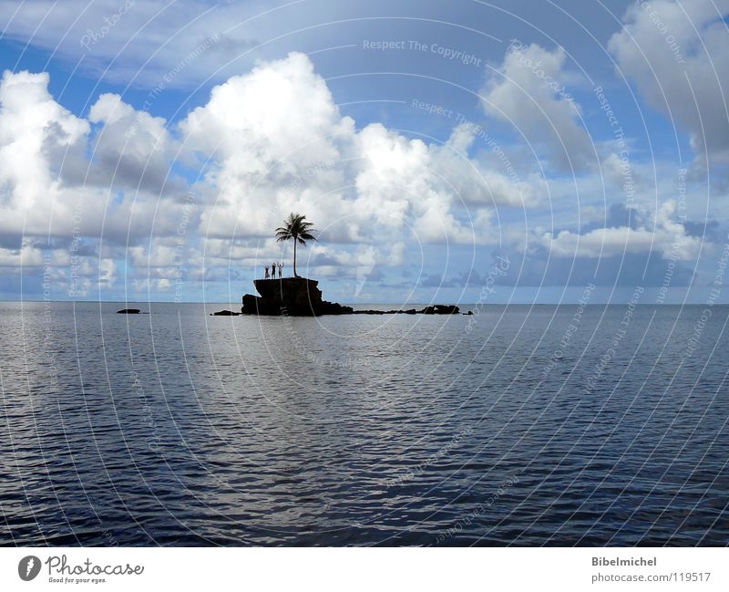 Stranded in paradise?! Palm tree Tree Friday Clouds Loneliness To talk Helpless Wave Remote Watercraft Needy Rescue Ocean Caribbean Sea Waves Pacific Ocean