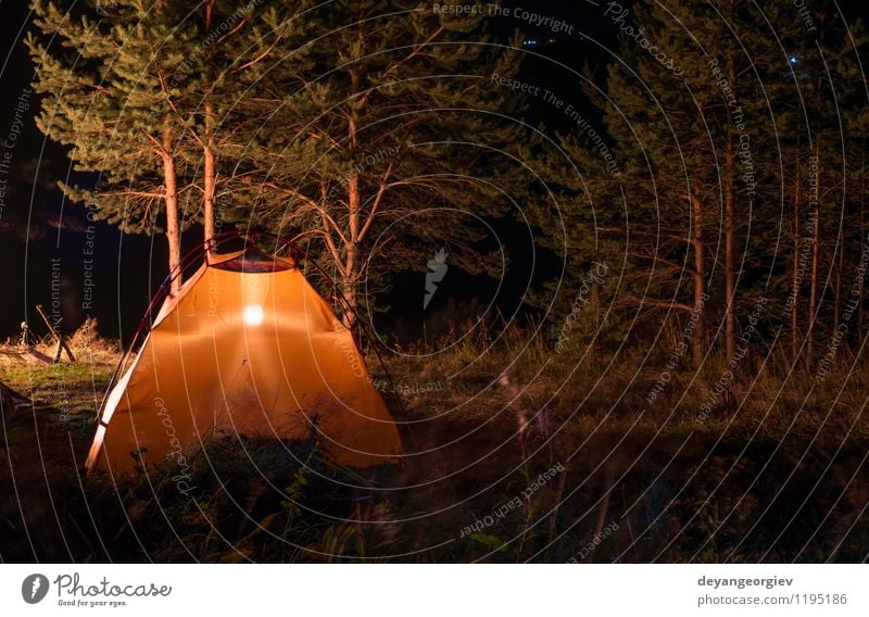 Orange tent in the forest Leisure and hobbies Vacation & Travel Tourism Adventure Camping Summer Mountain Hiking Lamp Nature Landscape Weather Tree Forest Sleep