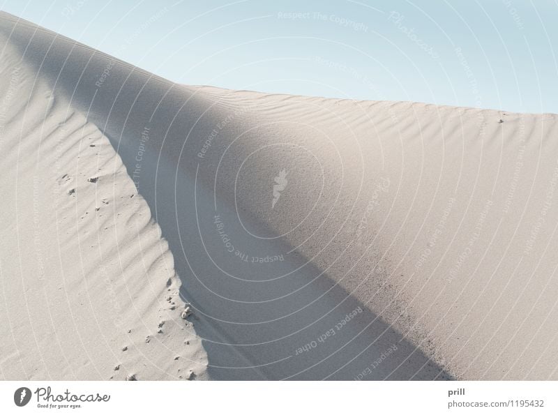 abstract sand Summer Beach Waves Nature Sand Warmth Hill Coast Desert Flock Dry Red White Quality sand dune Dune sunny detail Heap Accumulation Fine Grain