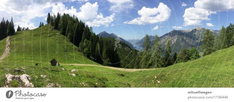 Karwendel at the Achensee near Pertisau Vacation & Travel Trip Mountain Hiking Nature Landscape Water Sky Clouds Summer Tree Grass Meadow Forest Peak Lake