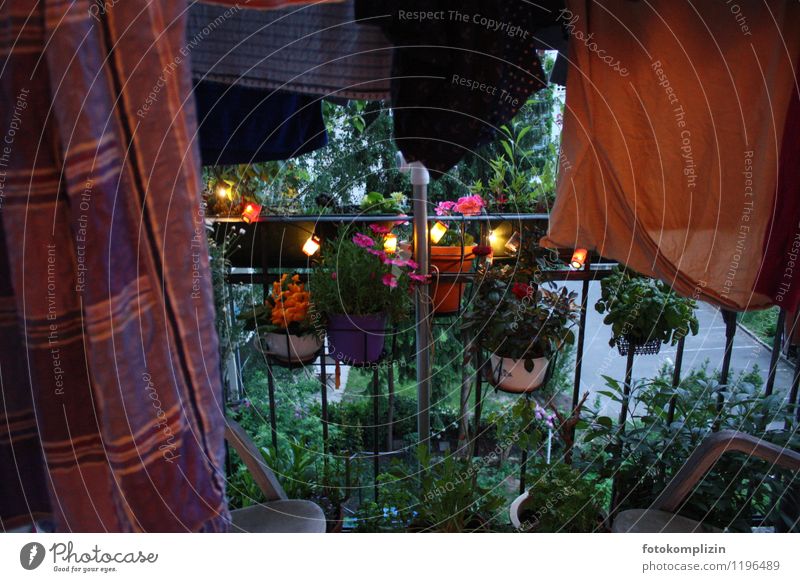 dark_coloured_evening Balcony clothesline Fairy lights Balcony plant balcony flowers Laundry Moody Romance Calm Longing relaxation Idyll Loneliness