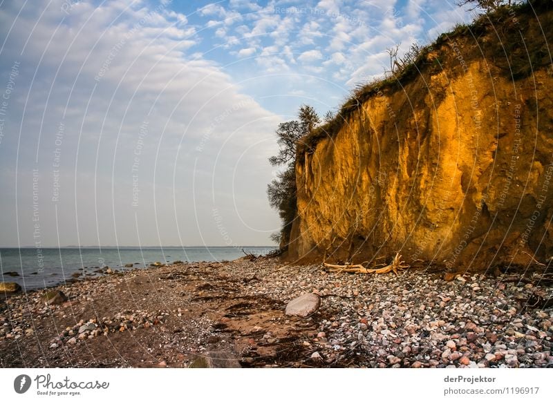 Gold, gold... Don't. Environment Nature Landscape Plant Animal Elements Spring Beautiful weather Rock Waves Coast Beach Baltic Sea Ocean Island Emotions Joy