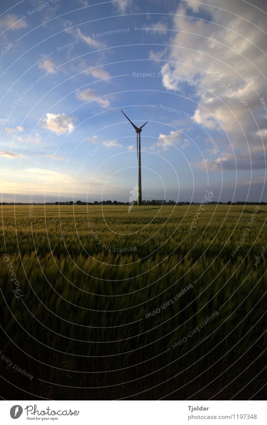 energy revolution Wind energy plant Energy industry Renewable energy Landscape Plant Earth Air Sky Clouds Sun Spring Beautiful weather Field Blue Green