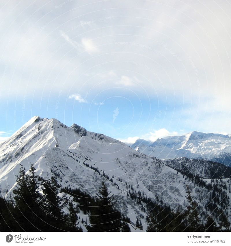 downpour Winter Winter vacation White Peak Ski resort Tree Forest Altimeter Austria Slope Deep snow Perfect Clouds Rain Division Mountain Alps Sun Blue sky