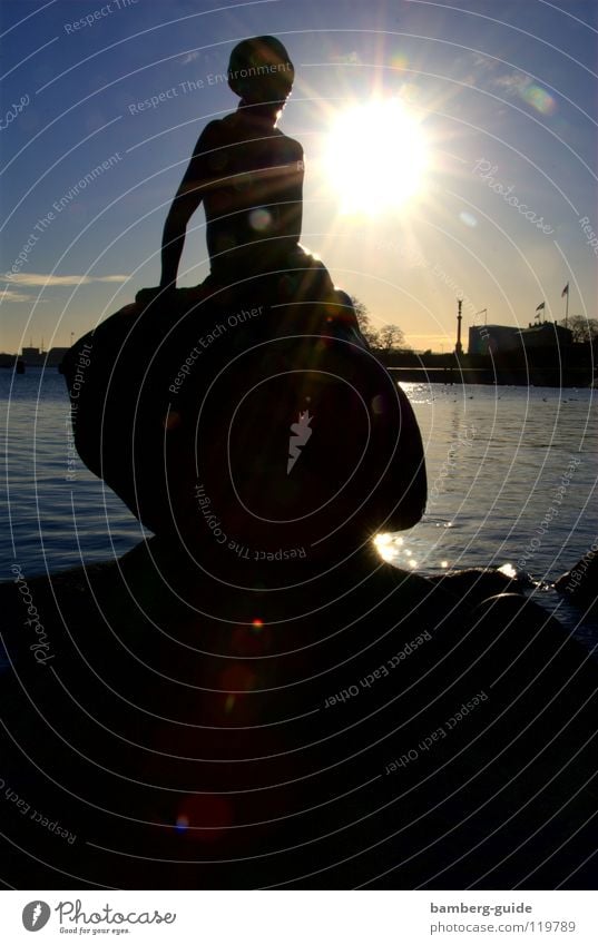 Lille Havfru Copenhagen Sculpture Ocean Nixie (Water Spirit) Landmark Monument Denmark Harbour The purple Havfrue Lille Havfrue averagerue Sculptural Statue