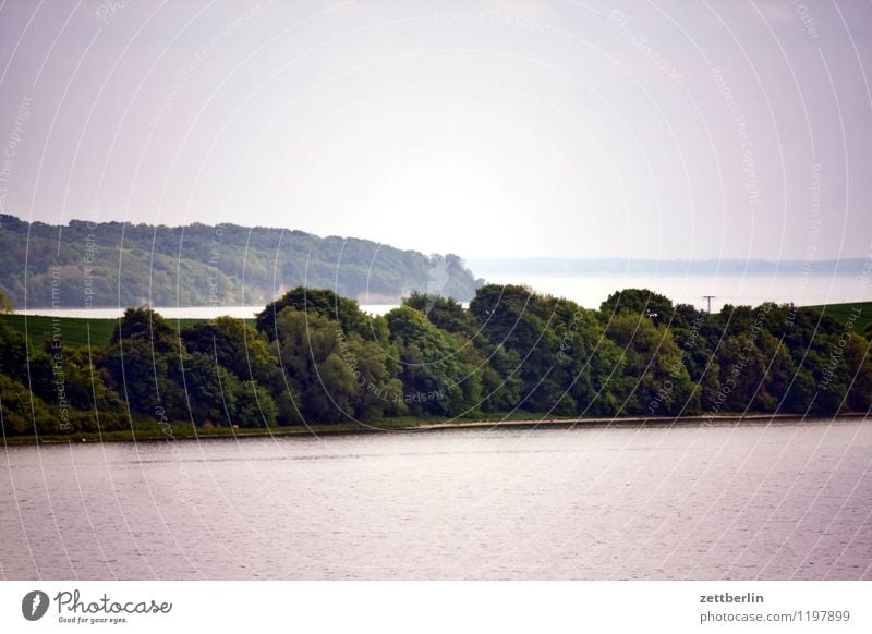 Old Reddewitz Landscape Mecklenburg-Western Pomerania good for the monk Baltic Sea Vacation & Travel Travel photography Rügen Tourism Ocean Boddenlandscape NP