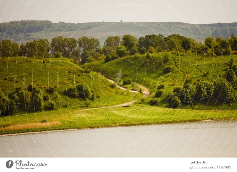 Zicker Mountains Baabe Landscape Mecklenburg-Western Pomerania good for the monk Baltic Sea Vacation & Travel Travel photography Rügen Tourism more bitchy