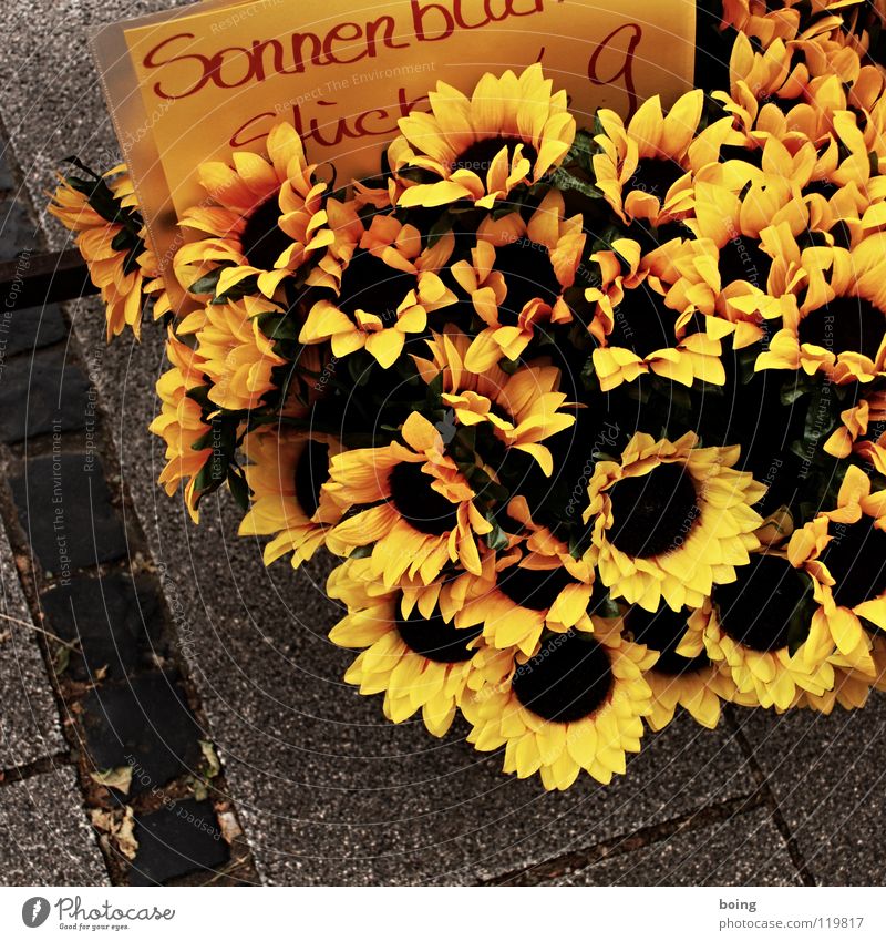 Sunflower for buttonhole Canola Flower Silk flower Paper Daisy Decoration Summer Street vendor Flower stall Mother's Day Date Buttonhole Trade Wholesale market