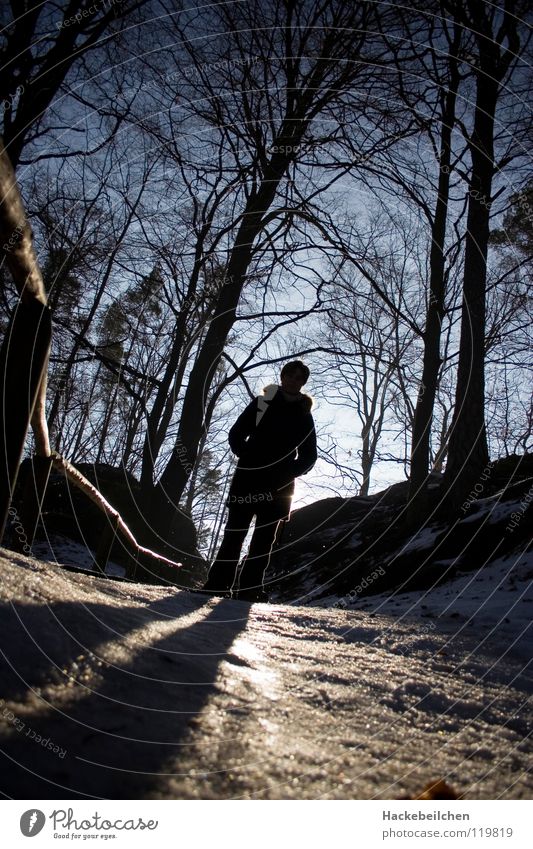 sunlight Back-light Dazzle Tree Glittering Sunset Forest Saxon Switzerland Human being Dark Winter Snow Shadow Handrail black man Smoothness Ice