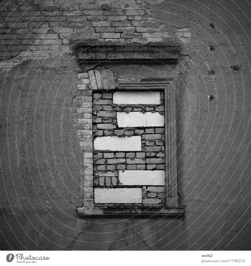 Venetian blind tooth Saxony-Anhalt Small Town Wall (barrier) Wall (building) Facade Window Sharp-edged Closed Barricaded Brick Protection Old Stone