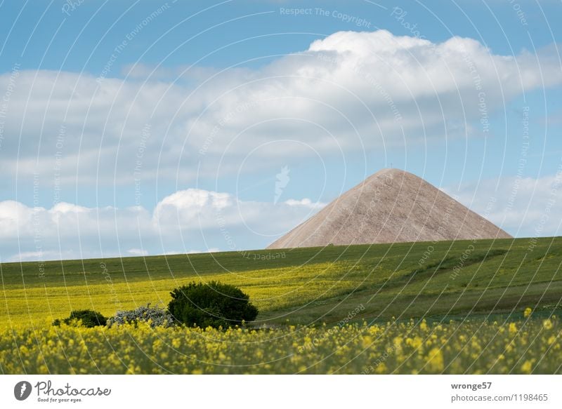 Slag heap from copper mining in the Mansfeld mining district behind a blooming rape field Industry Mining Landscape Plant Sky Horizon Summer Beautiful weather