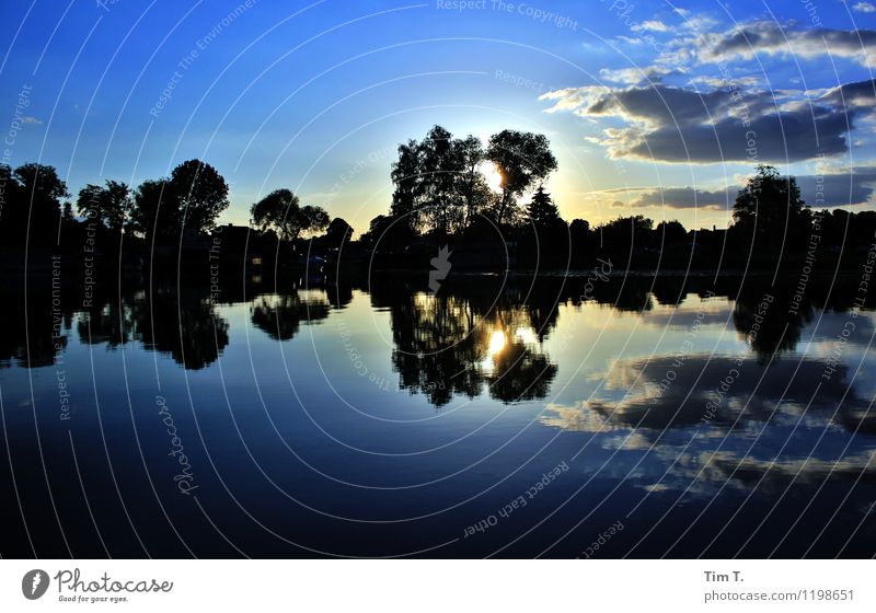 Brandenburg Environment Nature Landscape Water Clouds Sunrise Sunset Summer Lake Environmental protection Colour photo Exterior shot Deserted Morning Dawn