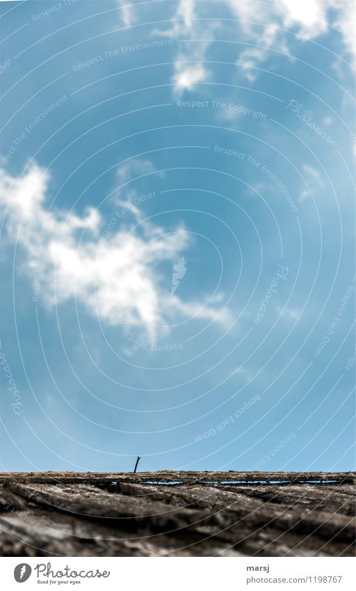 Last nail standing Sky Clouds Beautiful weather Roof Wooden roof hut roof Thin Authentic Simple Blue Willpower Brave Loneliness Nail Wooden board 1 Futile