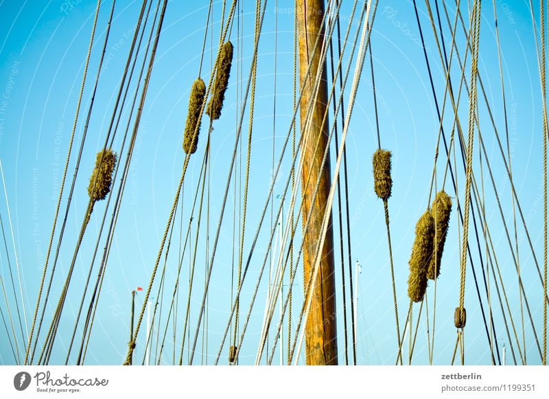 rig Mecklenburg-Western Pomerania Baltic Sea Vacation & Travel Travel photography Rügen Tourism Sailing Sailboat Sailing ship Watercraft Rope Rigging Rope team